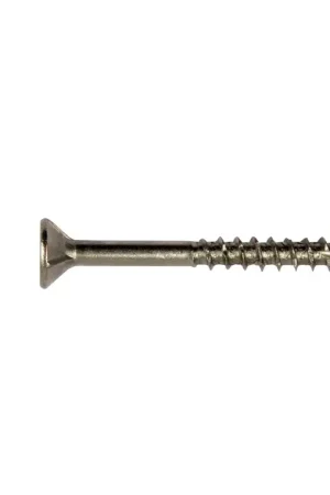 Shop Nu RVS Spaanderplaatschroef Torx 4 x 30 mm