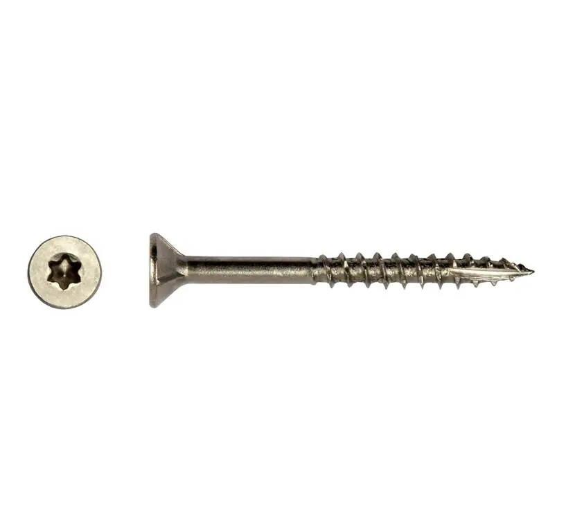 Shop Nu RVS Spaanderplaatschroef Torx 4 x 30 mm