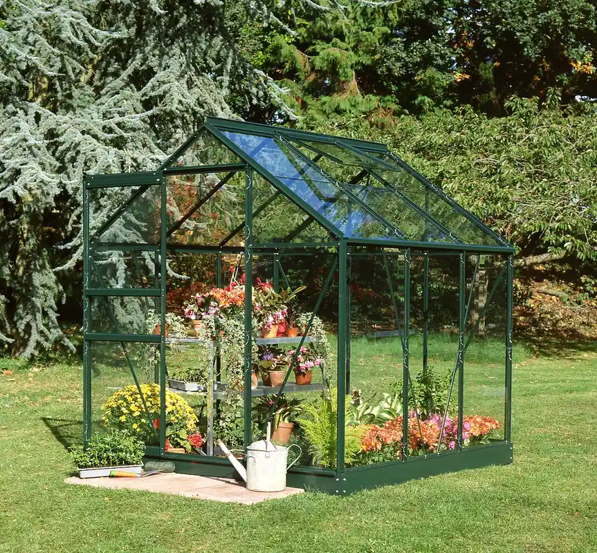 Direct Beschikbaar Royal Well Tuinkas Popular 66 Veiligheidsglas Groen Gecoat