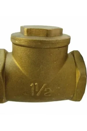 Alleen Vandaag Messing terugslagklep 1", horizontaal