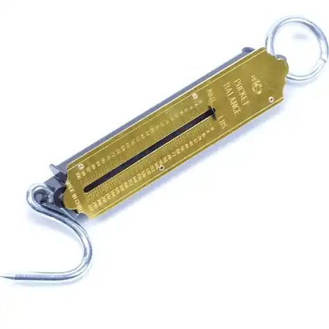 Zakbalans 0/50KG Koop Vandaag