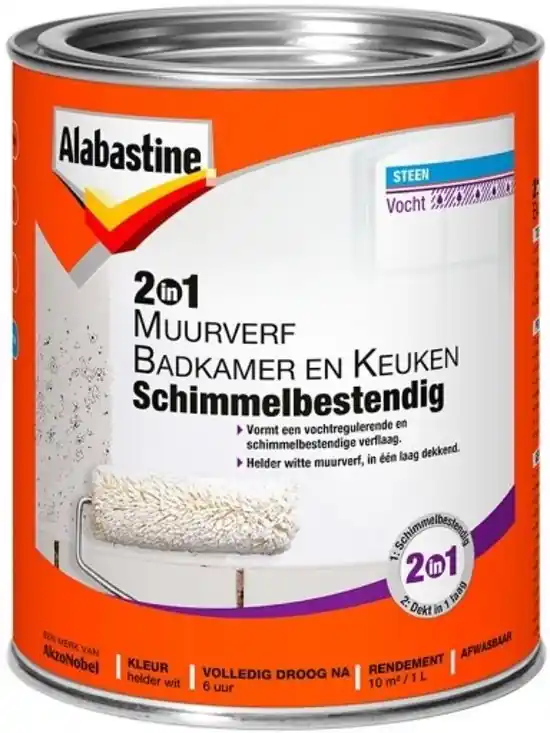 Exclusieve Aanbieding Muurverf 2 in 1 1000-BK