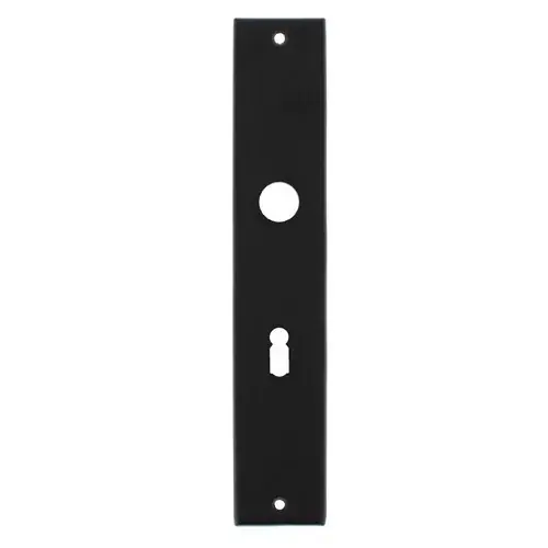 Nieuw Intersteel renovatie langschild SL56 mat zwart