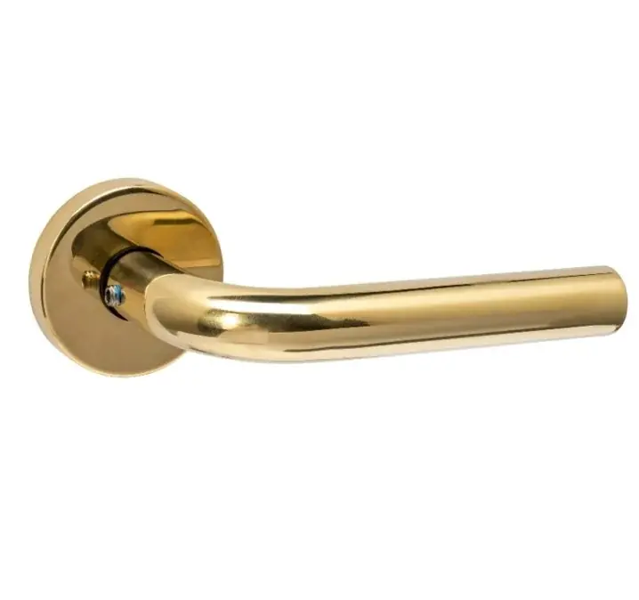 Intersteel set achterdeurbeslag rond deurklink Luzern met massieve rozetten PVD messingkleur Dagaanbieding