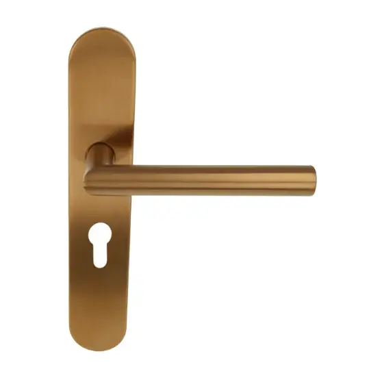 Speciale Aanbieding Deurklink op schild PC55 BASICS LBII-19P13Y55 PVD licht brons