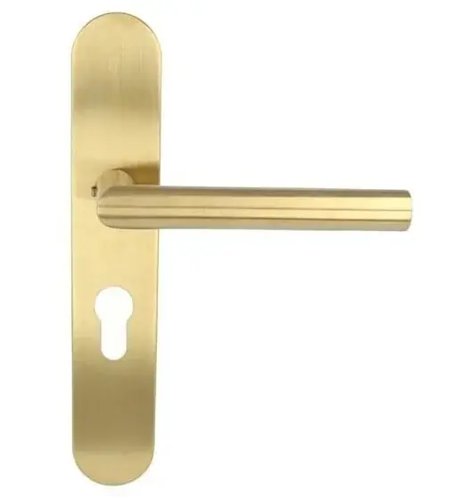 Deurklink op schild PC55 BASICS LBII-19P13Y55 PVD mat goud Bestseller
