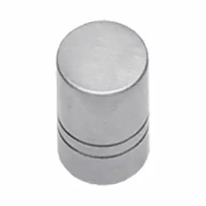 Intersteel knop recht Ø18mm rvs Alleen Vandaag