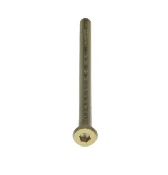 Intersteel bout 6-kant M6x100mm tbv SKG3 schilden voor deurdikte 85-89mm PVD messingkleur Bestel Nu
