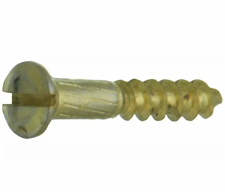 Hoge Kwaliteit Houtschroef (4 stuks) 4,0×20 mm messing ongelakt