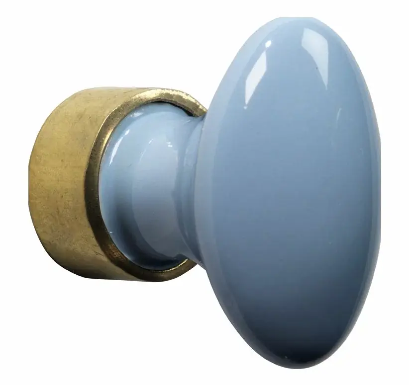 Koop Vandaag Meubelknop ovaal porselein 33mm messing ongelakt/lichtblauw