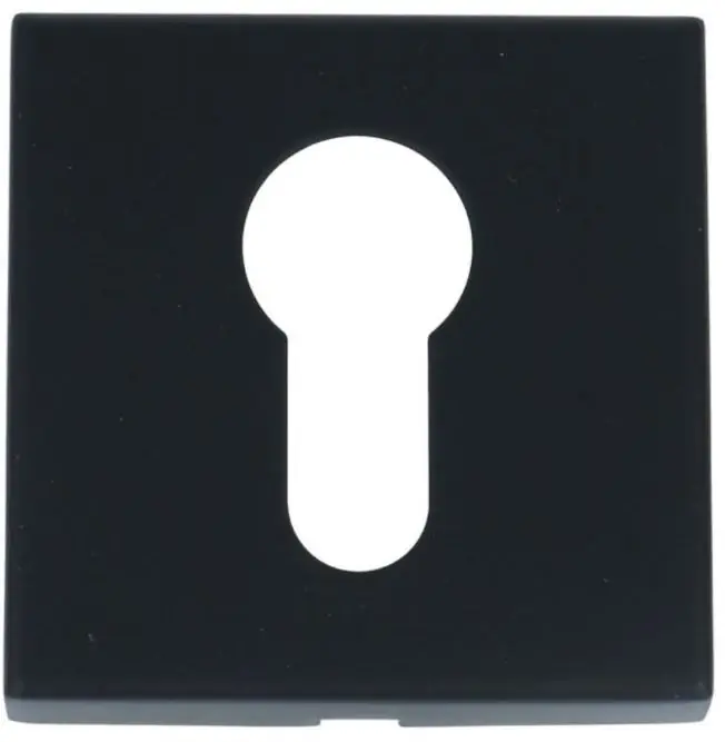 Cilinderplaatje BASICS BSQY53 mat zwart Weekendaanbieding