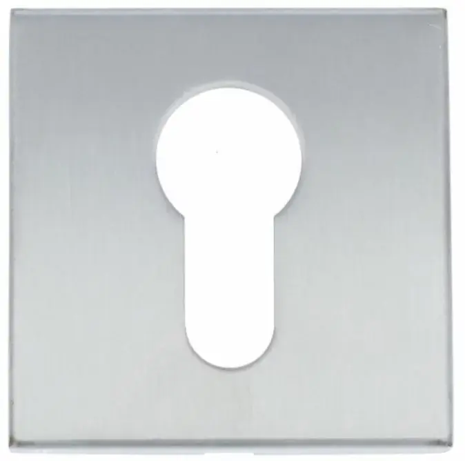 Cilinderplaatje BASICS BSQY53 mat rvs Speciale Aanbieding