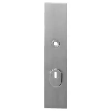 Beperkt Aanbod Veiligh. B.S. met KT PC72 248x52x11 mm rechth. RVS