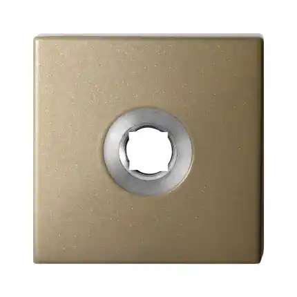 Goedkoop Rozet 50x50x8 mm Champagne blend