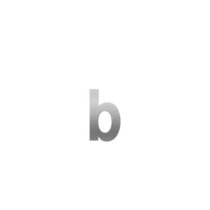Huisnummer toevoeging letter ‘b’ RVS, 156 mm Beste Prijs