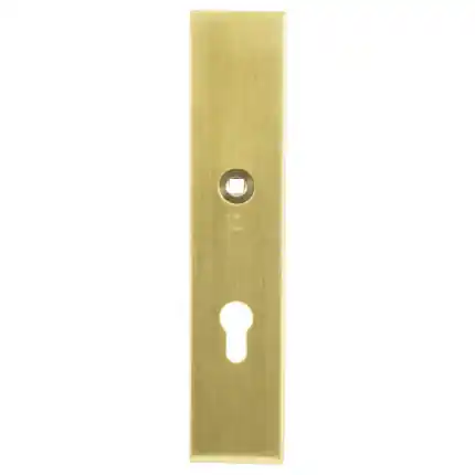 veiligheidsbinnenschild rechth. PC72 248x52x8 mm Messing PVd Meest Verkocht