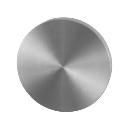 GPF0900VR blinde rozet 53x6mm RVS geborsteld Voordeelprijs