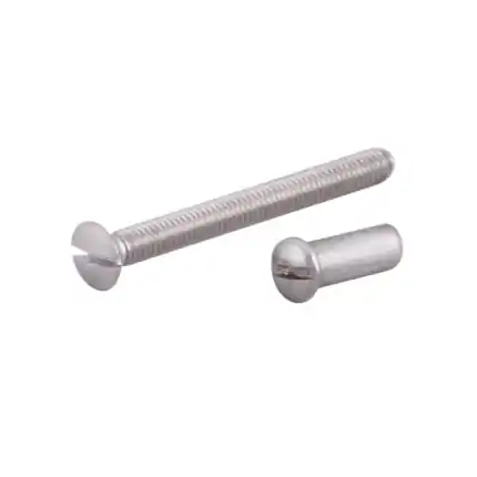 Lage Kosten RVS bout+huls M4x40 mm tbv dd 38-43 mm DeurbeslagGigant.nl
