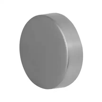 S3 knop GPF9865.09 RVS geborsteld Betrouwbaar