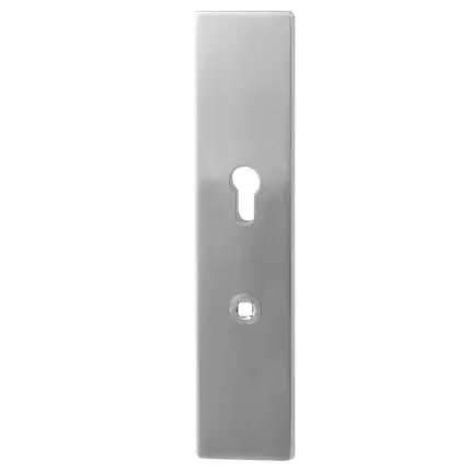 Veiligh. B.S. comfort PC72 248x52x11 mm RVS geborsteld Rechtstreeks Van De Fabrikant