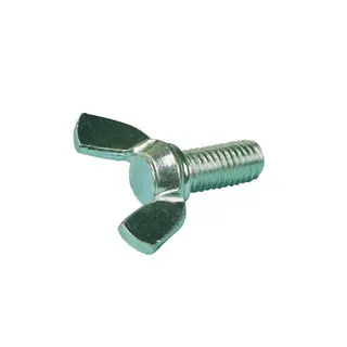 VLEUGELBOUT GEG. M5X25MM Beperkt Aanbod