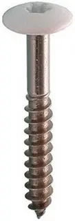 Superprijs ROCKPANEL SCHROEF 4,5X35MM