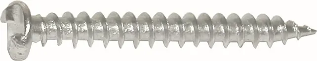 ANTI-INBRAAKSCHROEF RVS 4.2X32MM Gratis Retour