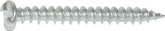 ANTI-INBRAAKSCHROEF RVS 4.8X50MM Bestel Nu