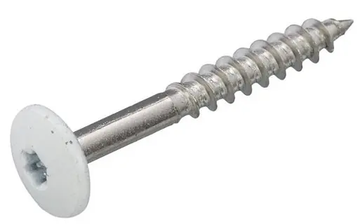 TRESPASCHROEF RAL 9010 4.8X60MM Betrouwbaar