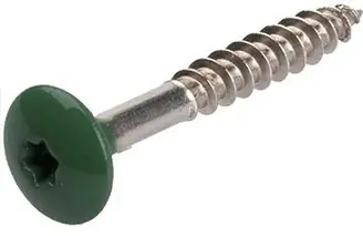 TRESPASCHROEF RAL 6005 4.8X38MM Laatste Versie