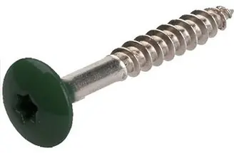 TRESPASCHROEF RAL 6009 4.8X25MM Meest Verkocht