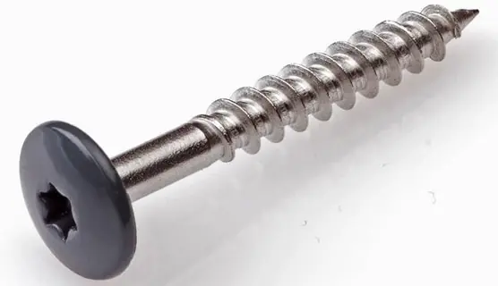Beperkte Voorraad TRESPASCHROEF RAL 7016 4.8X45MM
