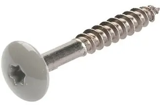 TRESPASCHROEF RAL 7038 4.8X38MM Betrouwbaar