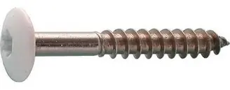 Gratis Retour TRESPASCHROEF RAL 9002 4.8X38MM