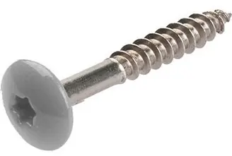 Direct Verzonden TRESPASCHROEF RAL 9006 4.8X25MM