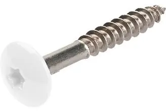 Laatste Kans TRESPASCHROEF RAL 9016 4.8X25MM