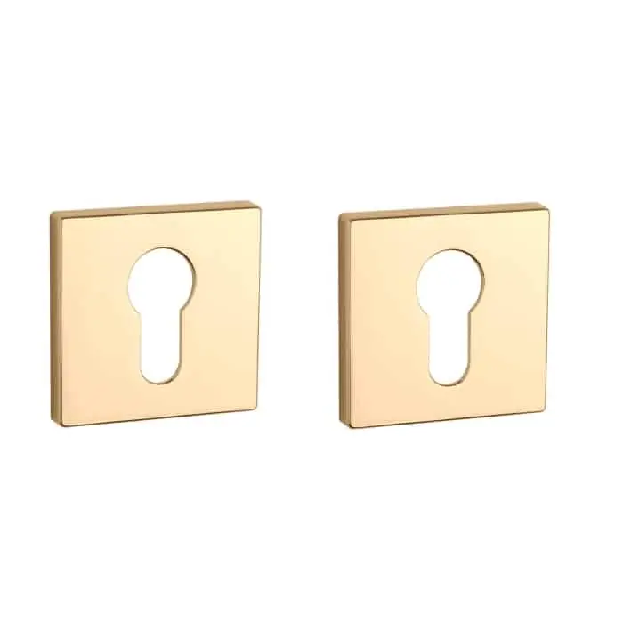 Aprile Prestige Cilinderrozet 50x50x7mm Rechthoekig Goud gepolijst Goedkoop