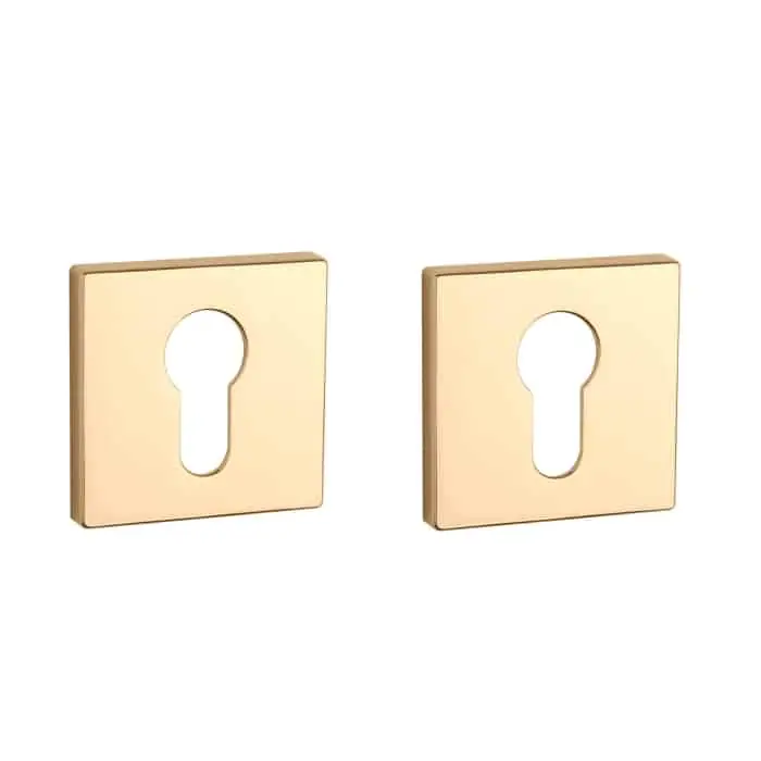 Bestel Nu Aprile Prestige Cilinderrozet 50x50x7mm Rechthoekig Goud gepolijst PVD