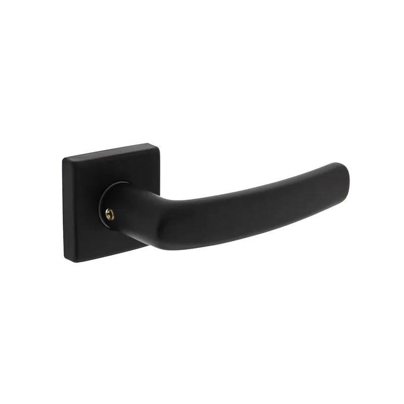 Intersteel Deurkruk Denham op rozet 50x50x10 mm aluminium zwart Uitverkoop