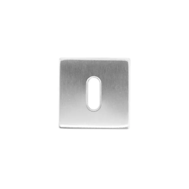 Snelle Levering HDD Pro Sleutelplaatje Square Shape Flat Inox Plus