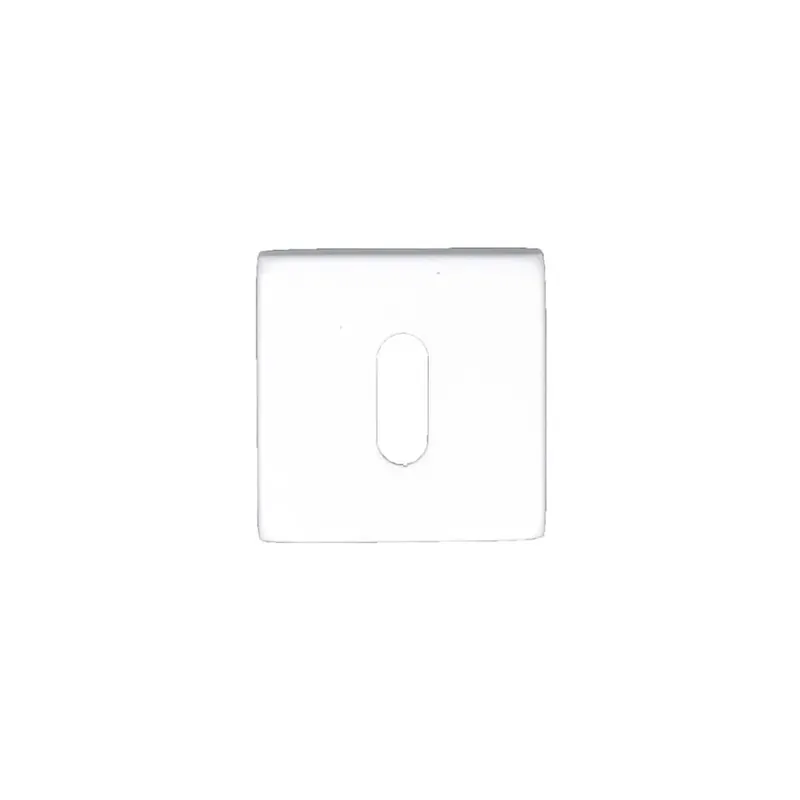 Fabrieksprijs HDD Pro Sleutelplaatje Square Shape Wit Structuur
