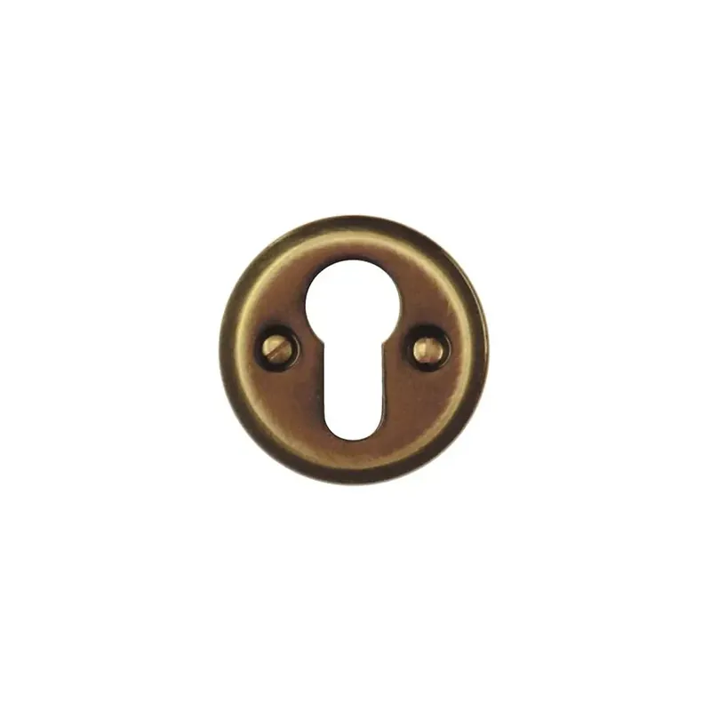 Koop Online HDD Pro Cylinderplaatje Natalie Brons