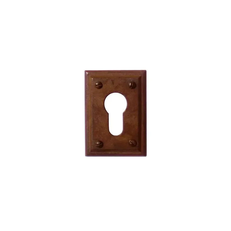 Exclusieve Aanbieding HDD Pro Cylinderplaatje Carre Roest