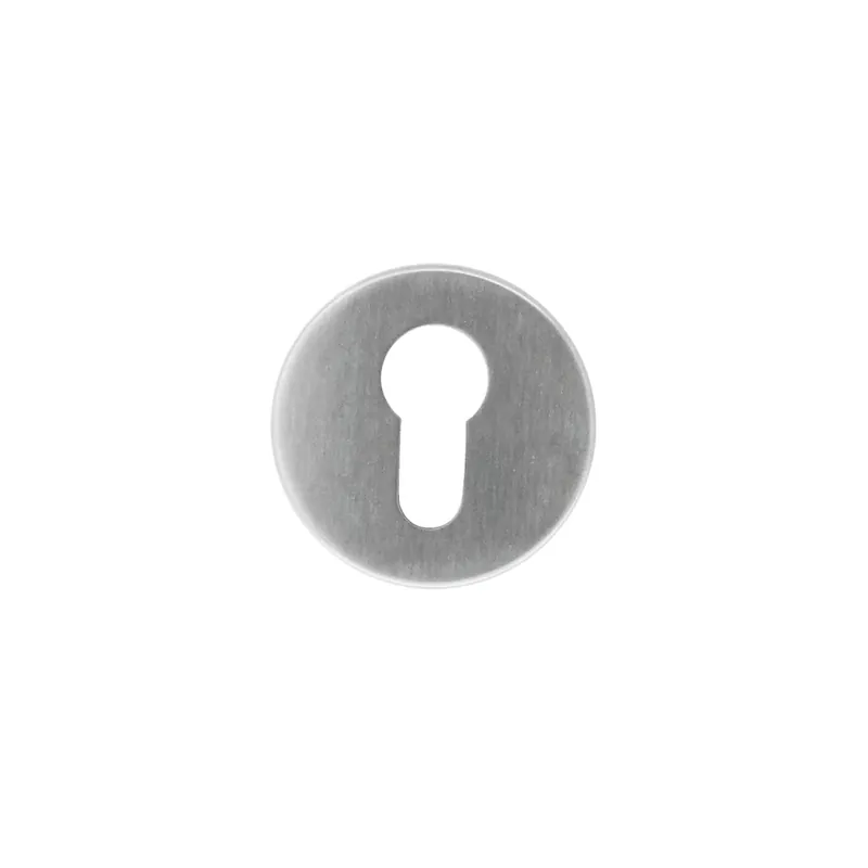 Shop Nu HDD Pro Cylinderplaatje Rond Shape Flat Inox Plus