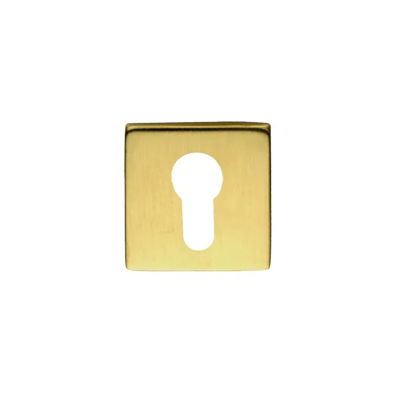 HDD Pro Cylinderplaatje Square Shape Mat Messing Gepolijst Alleen Vandaag