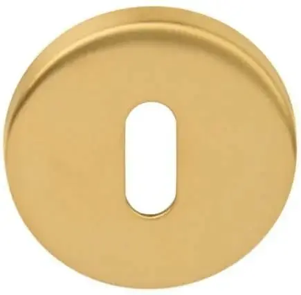 Direct Beschikbaar Formani Sleutelplaatje BASIC LBN50 6mm PVD Mat Goud