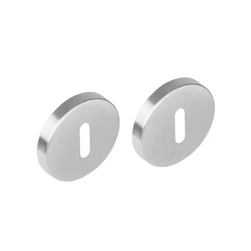 Seizoensaanbieding Intersteel Rozet sleutelgat Rond 51x10 RVS Geborsteld