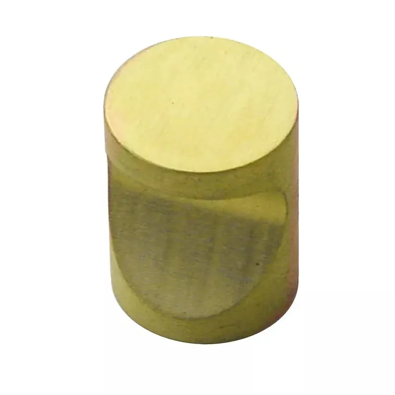 HHD Pro Meubelknop Kasttrekker D20mm Messing Gepolijst Express Levering