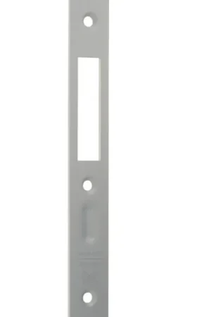 Express Levering Adams rite sluitplaat voor MS2200 insteek smalslot